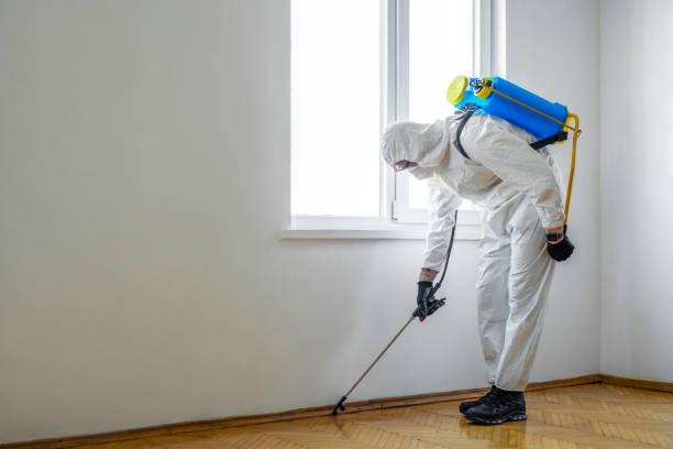 Best Pest Exclusion Services  in Hoer, OK